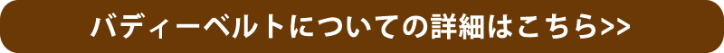 BuddyBeltsバディーベルトの詳細について