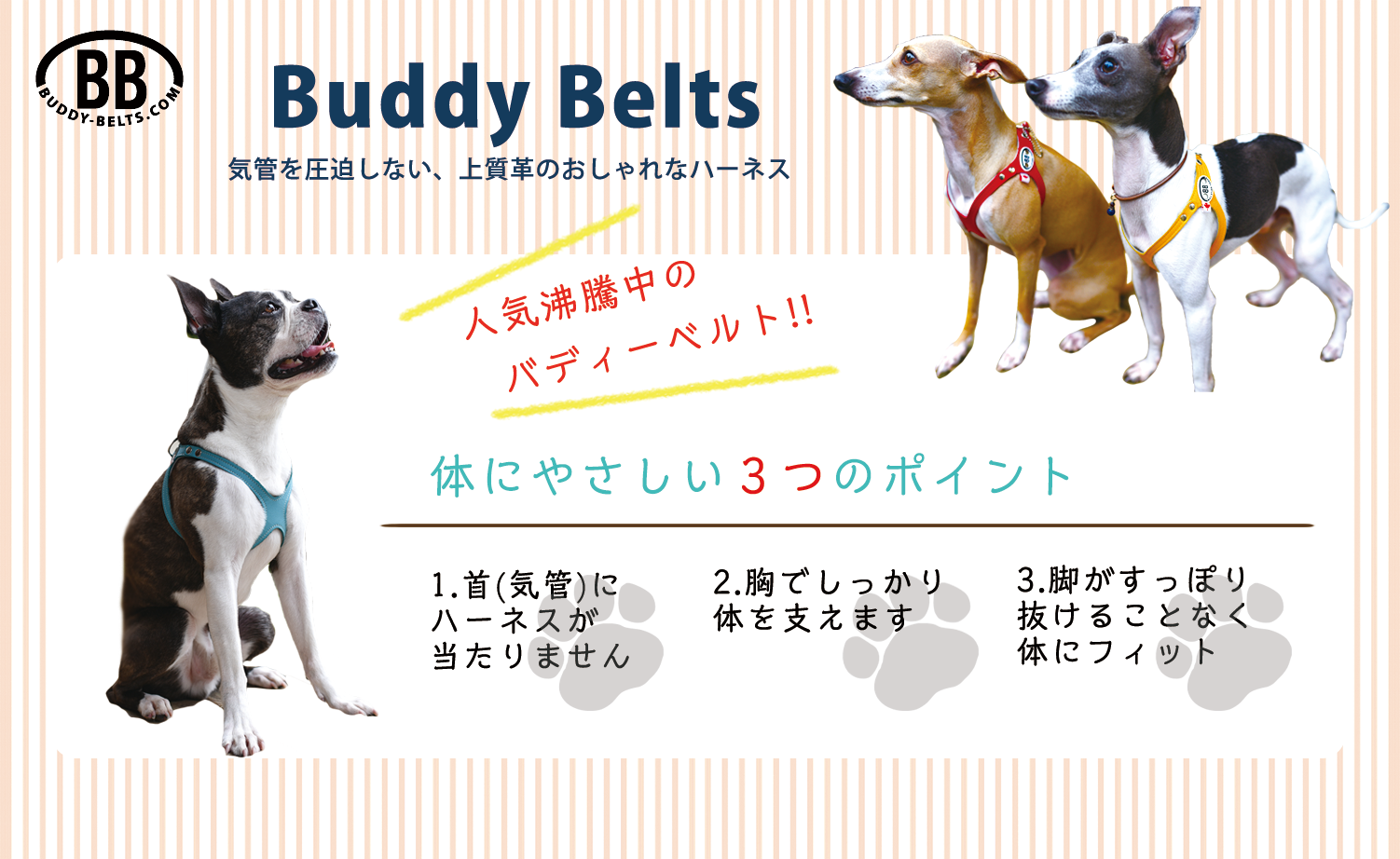 BuddyBeltsバディーベルトの３つの特徴