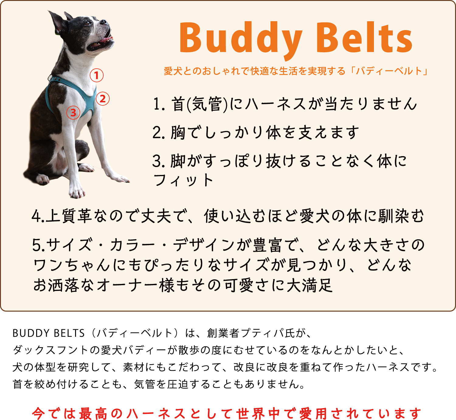 BuddyBelts（バディーベルト）正規直輸入販売店 ブリンドル