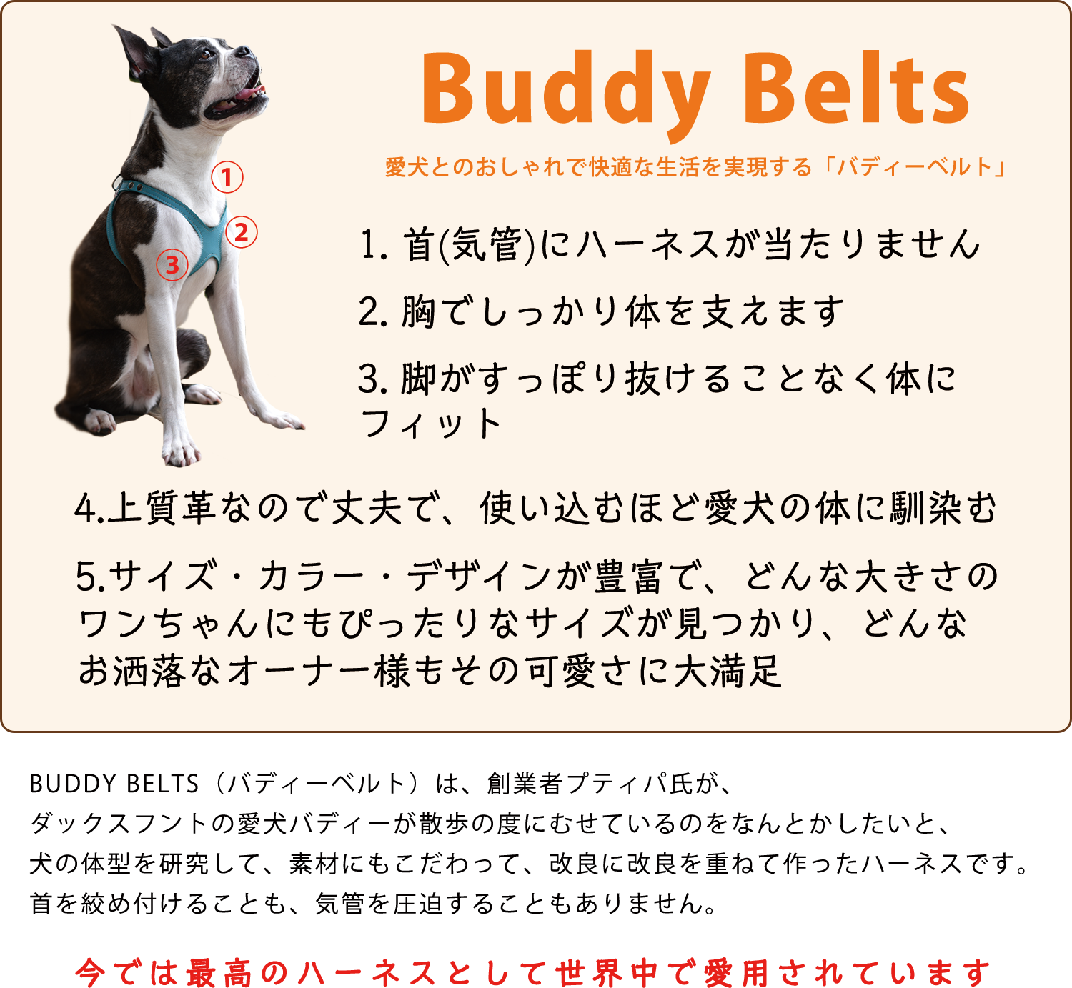 BuddyBelts バディーベルト