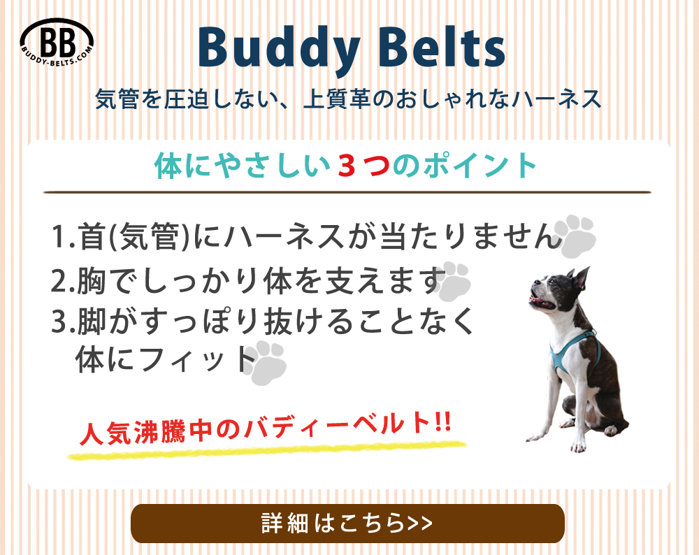 BuddyBeltsの３つの特徴