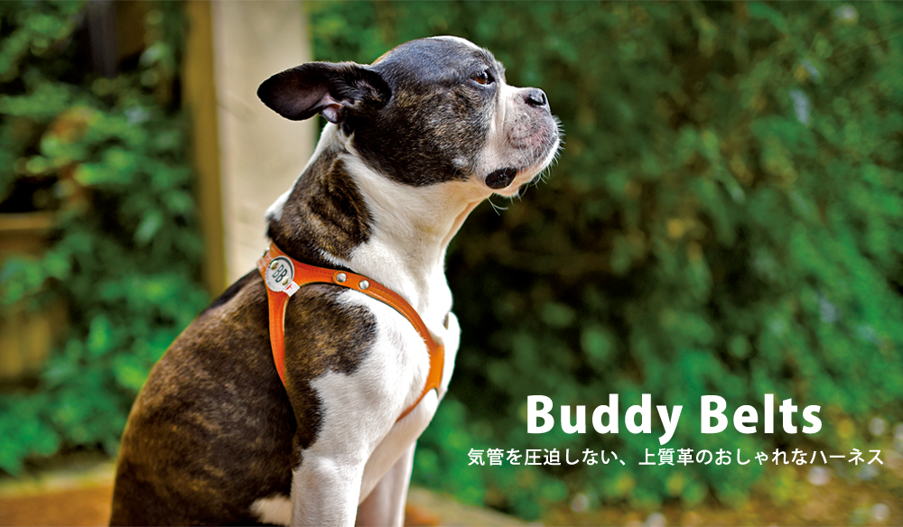 BuddyBelts バディーベルトは気管を圧迫しない上質革のおしゃれなハーネスです