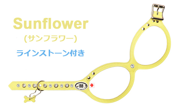 ご予約 BuddyBelts（バディーベルト）正規直輸入販売店 ブリンドル