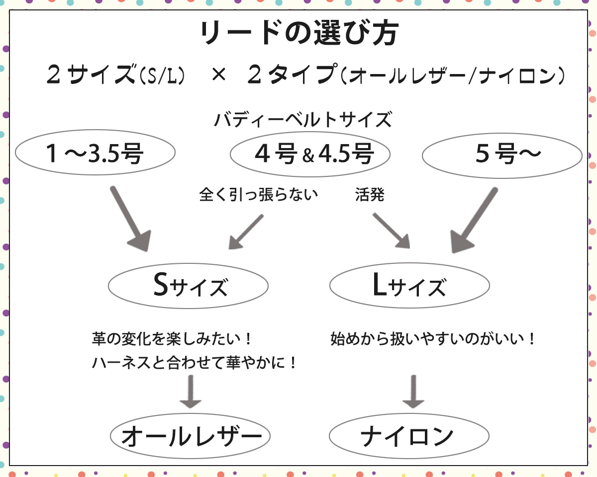 バディーベルト　リードの選び方