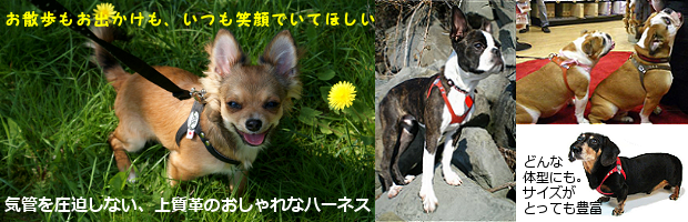 気管を圧迫しない、上質革のおしゃれなハーネス