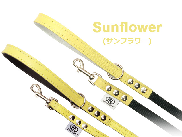 BuddyBelts　リード　サンフラワー