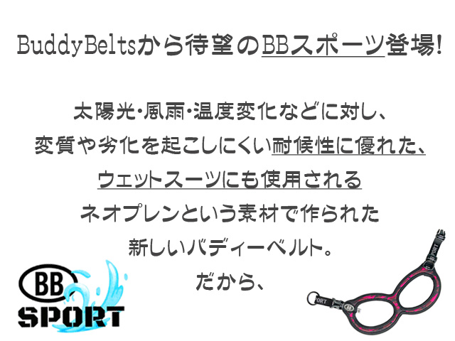 BB SPORT　BBスポーツ