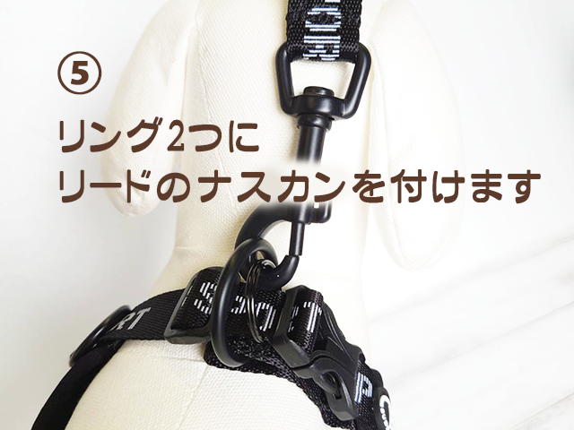 BB SPORT　BBスポーツ　バックルの付け方