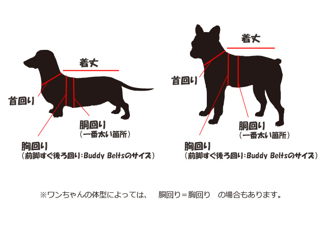 服、首輪用の犬のサイズの測り方