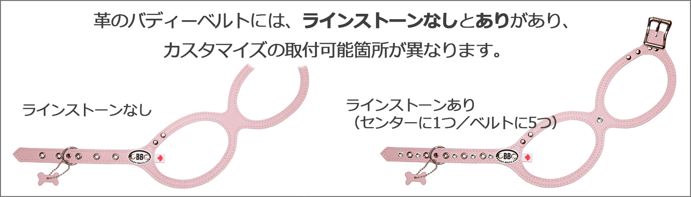 BUDDY BELTS（BB）について BuddyBelts（バディーベルト）正規直輸入