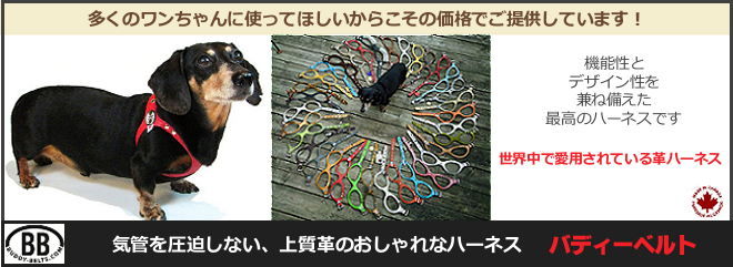 世界中で愛用されている　気管を圧迫しない上質革のリングハーネスBuddyBelts(バディーベルト)。たくさんのワンちゃんに使ってもらえるよう低価格でご提供しています。